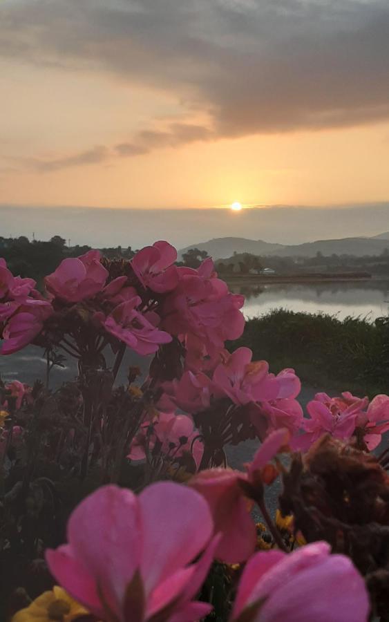 Sea Lodge B&B Durrus Exterior photo