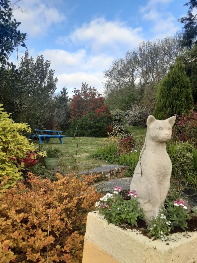 Sea Lodge B&B Durrus Exterior photo