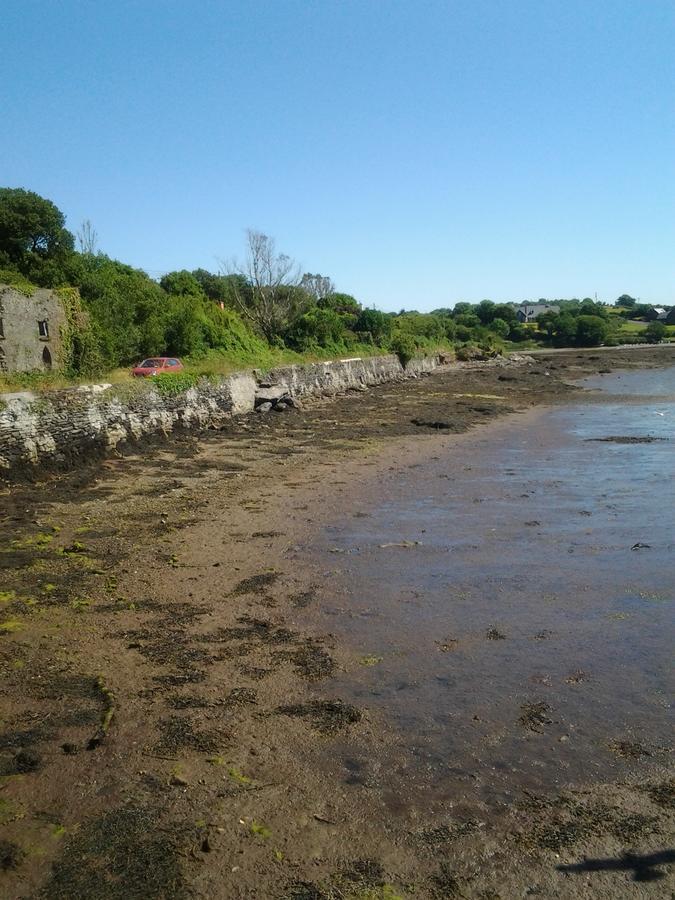 Sea Lodge B&B Durrus Exterior photo