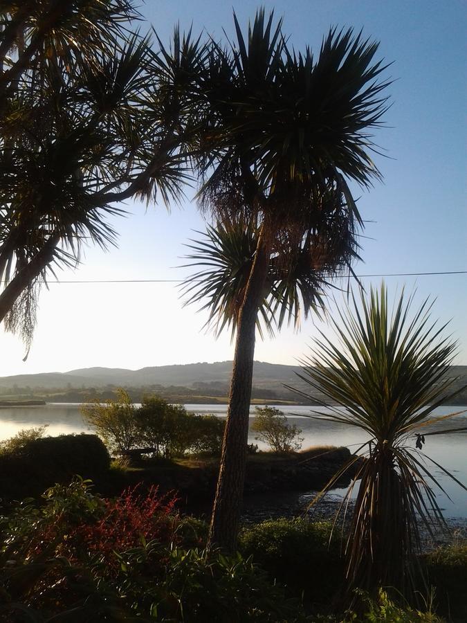 Sea Lodge B&B Durrus Exterior photo